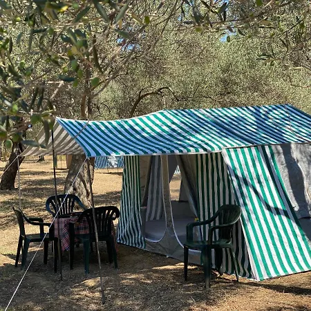 Egri Zeytin Luxury tent