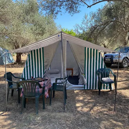 Luxury tent Egri Zeytin Ahmetce (Ayvacik)